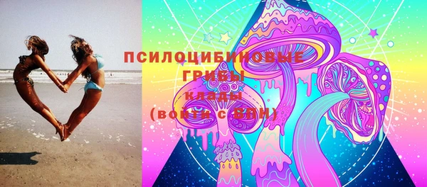 прущая мука Новодвинск